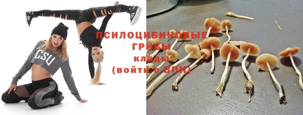 прущая мука Вязники